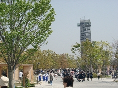 04220031.JPG