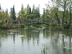 04220041.JPG