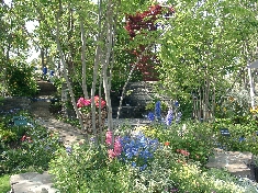 04220046.JPG