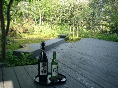 04220073.JPG