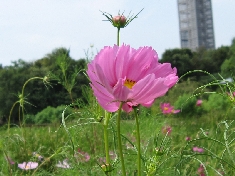 IMG_0774.JPG