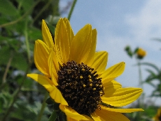 IMG_0785.JPG