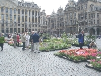 05310015.JPG