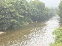 P1000572.JPG