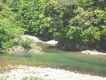 P1030551.JPG