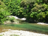 P1030551.JPG