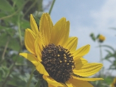 IMG_0785.JPG