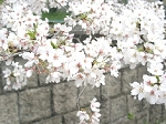 04080015.JPG