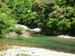 P1030551.JPG