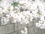 04080015.JPG
