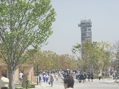 04220031.JPG