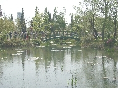 04220041.JPG