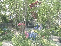 04220046.JPG