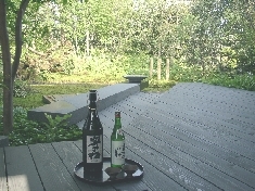 04220073.JPG