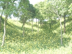 05130047.JPG