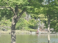 05130058.JPG