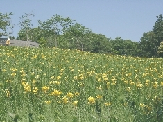 05130025.JPG