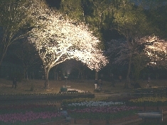 03310001.JPG
