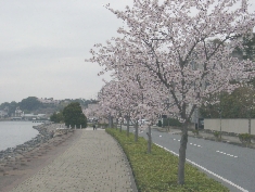 04030004.JPG