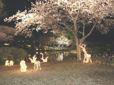 04050001.JPG