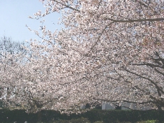 04090001.JPG
