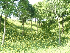 05130047.JPG