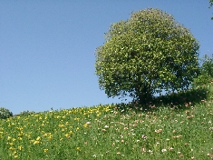 05130051.JPG