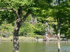 05130058.JPG
