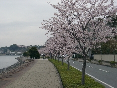 04030004.JPG