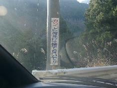 12220013.JPG