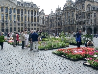 05310015.JPG